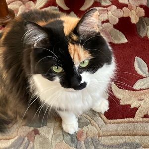 Meet your Posher, Jody